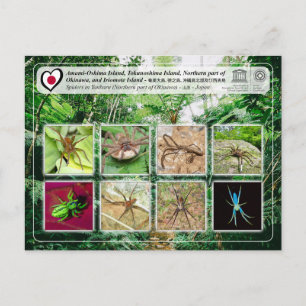 Cartão Postal UNESCO - parte Norte da ilha de Okinawa - 沖 縄 