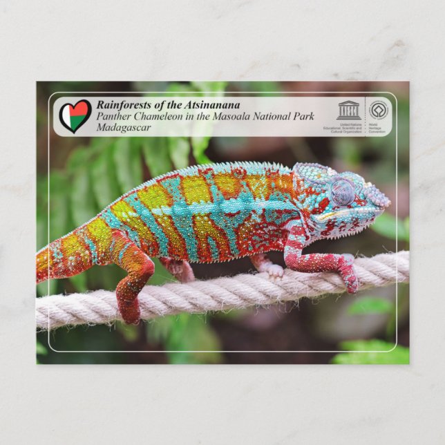 Cartão Postal UNESCO WHS - Atsinanana - Parque Nacional de Masoa (Frente)