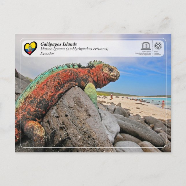 Cartão Postal UNESCO WHS - Ilhas Galápagos - Iguana Marinha (Frente)