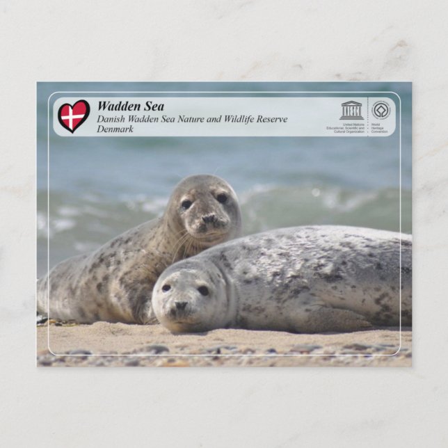Cartão Postal UNESCO WHS - Mar de Wadden Dinamarquês (Frente)