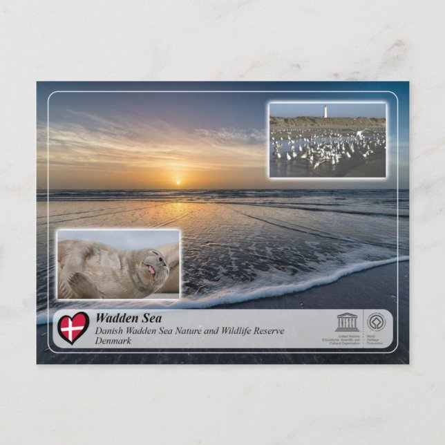 Cartão Postal UNESCO WHS - Mar de Wadden Dinamarquês (Frente)