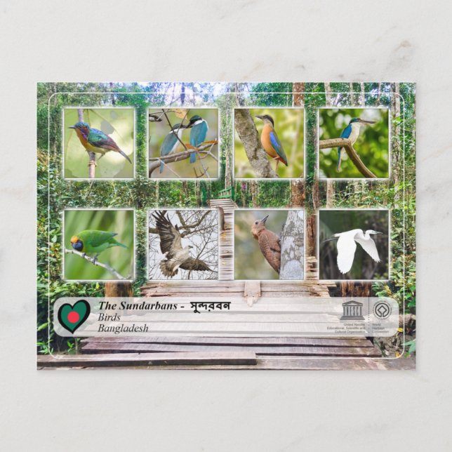 Cartão Postal Unesco WHS - Os Sundarbans (Frente)