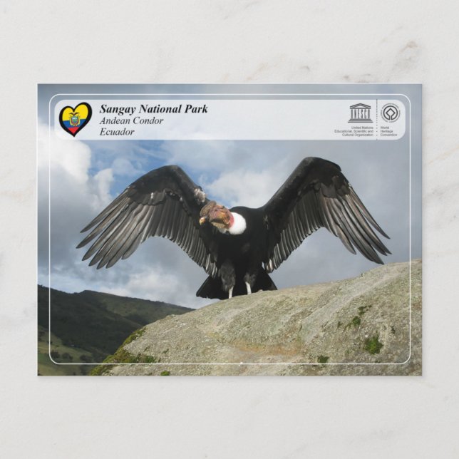 Cartão Postal UNESCO WHS - Parque Nacional de Sangay - Condor An (Frente)