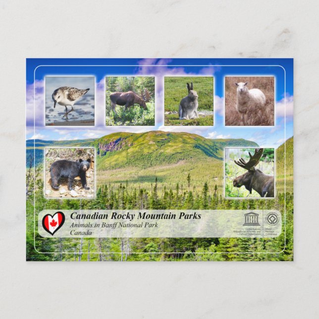 Cartão Postal UNESCO WHS - Parque Nacional Gros Morne (Frente)