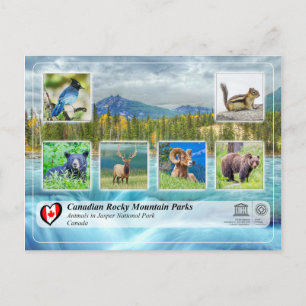 Cartão Postal UNESCO WHS - Parque Nacional Jasper