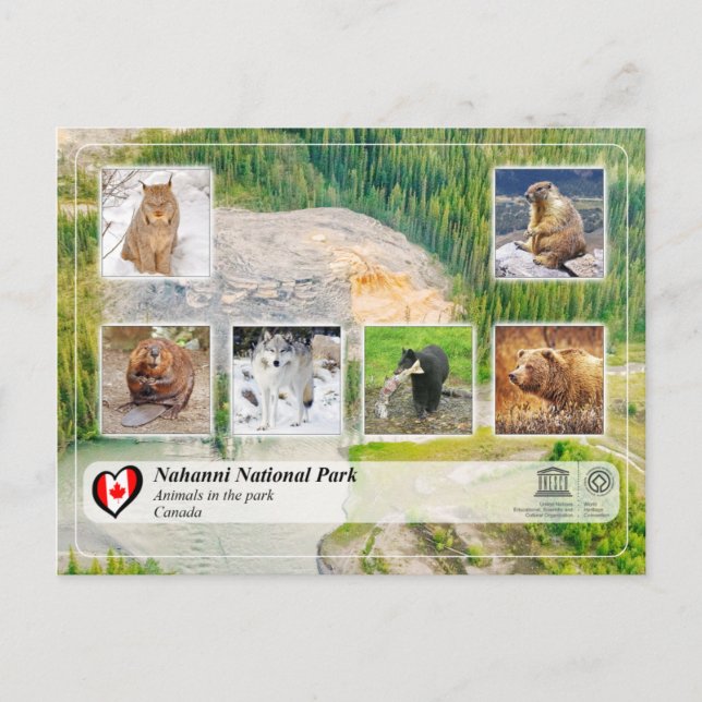 Cartão Postal UNESCO WHS - Parque Nacional Nahanni (Frente)