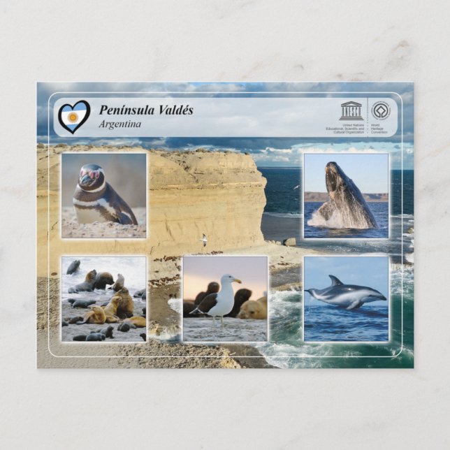 Cartão Postal UNESCO WHS - Península Valdés (Frente)