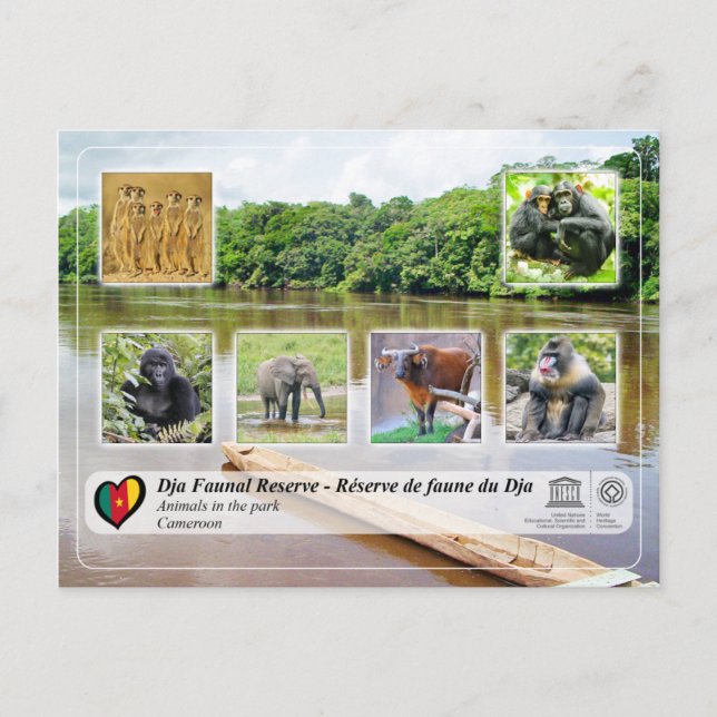 Cartão Postal UNESCO WHS - Reserva de Faunal Dja (Frente)