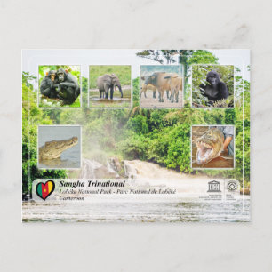 Cartão Postal UNESCO WHS - Sangha Trinacional - Lobéké