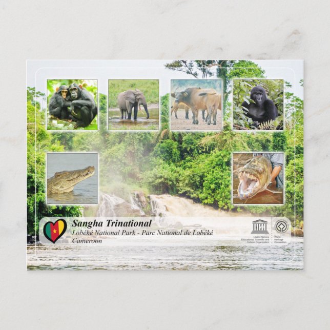 Cartão Postal UNESCO WHS - Sangha Trinacional - Lobéké (Frente)
