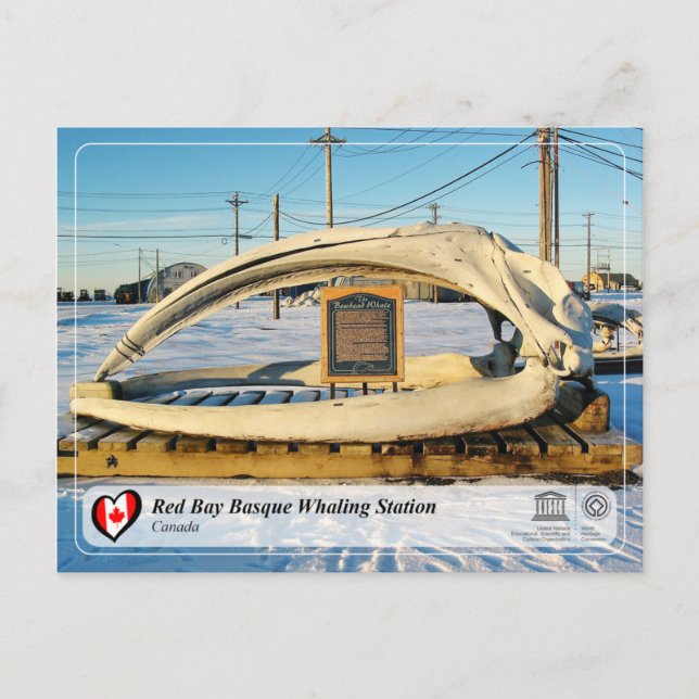 Cartão Postal UNESCO WHT - Estação Baleeira de Red Bay Basque (Frente)