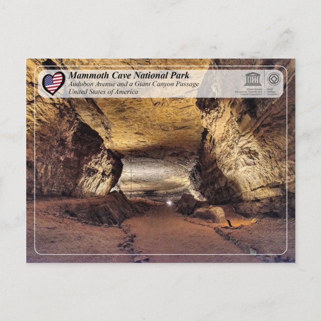Cartão Postal UNESCO WHT - Parque Nacional da Caverna de Mamute (Frente)