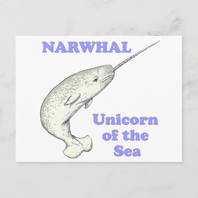 Cartão Postal unicórnio Narwhal do mar (Frente)