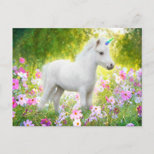 Cartão Postal Unicórnio Pônei Branco (Frente)
