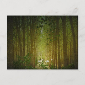 Cartão Postal Unicórnios