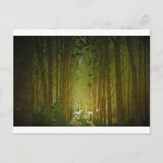 Cartão Postal Unicórnios