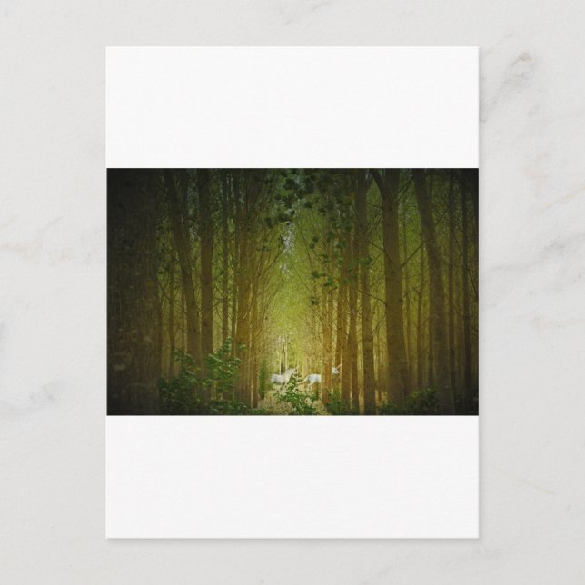 Cartão Postal Unicórnios (Frente)