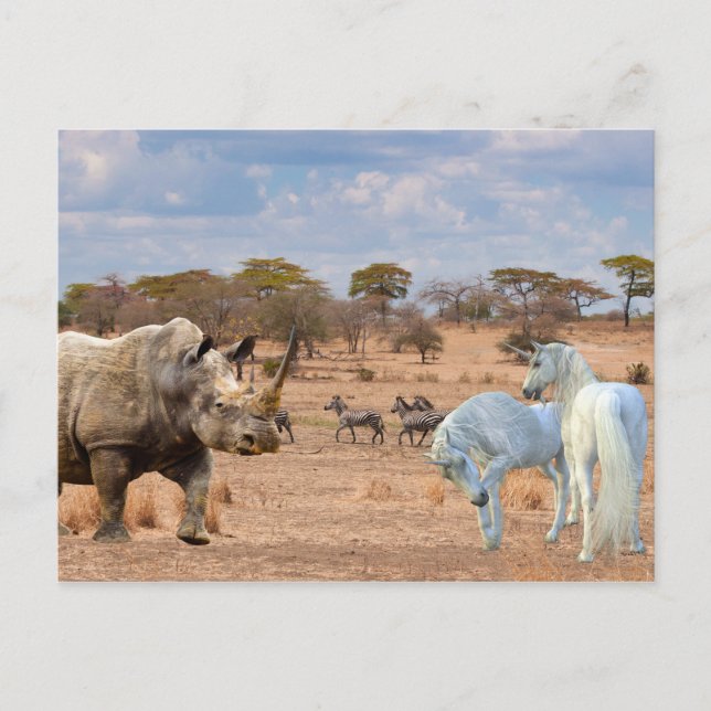 Cartão Postal Unicorns Cubby Rhino Rhinocerontes Africa (Frente)