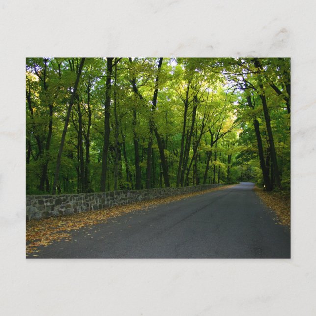 Cartão Postal Unidade North Shore (Frente)