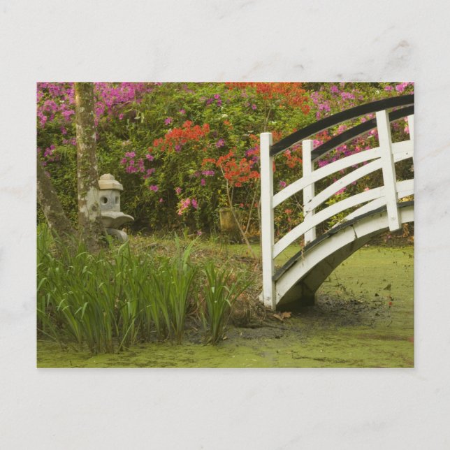 Cartão Postal United States; South Carolina; Charleston; 2 (Frente)