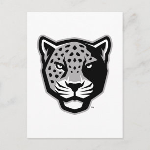 Cartão Postal Universidade do Texas A&M - San Antonio Jaguares