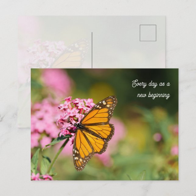Cartão Postal Uplifting and Inspiratational monarch Butterfly  (Frente/Verso)