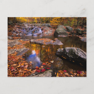 Cartão Postal Upper Whiteoak Falls, Parque Nacional de Shenandoa