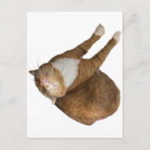 Upside-Down Sunshine