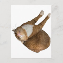 Cartão Postal Upside-Down Sunshine