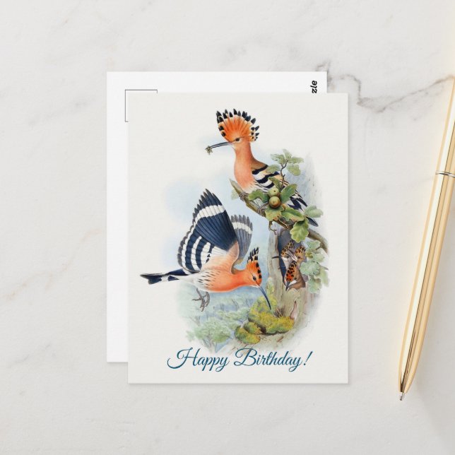 Cartão Postal Upupa Epops (Frente/Verso In Situ)