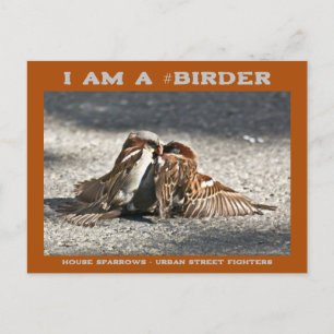 Cartão Postal Urbana Briga de Rua Urbana Poupa Birder