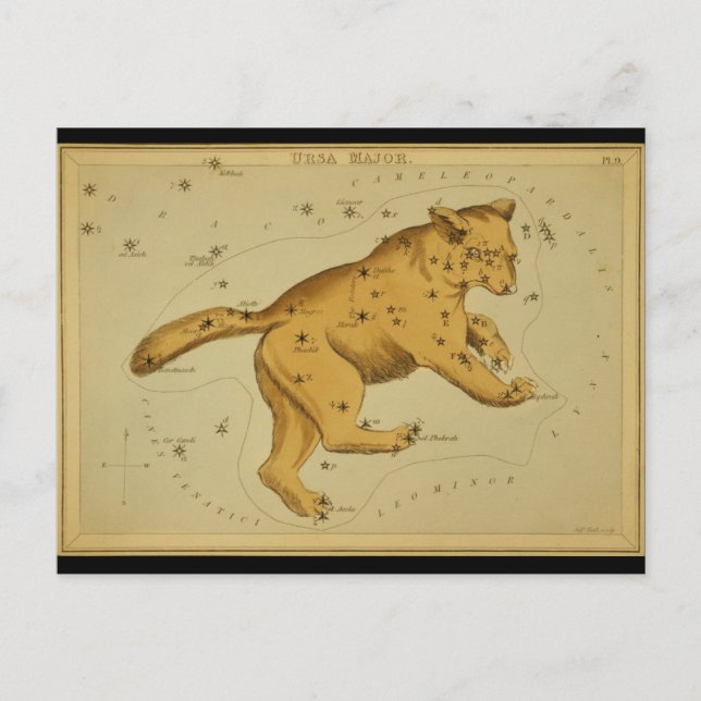 Cartão Postal Ursa Major (Frente)