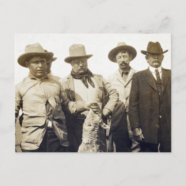 Cartão Postal Ursinho Roosevelt Wolf Hunting, 1905 (Frente)