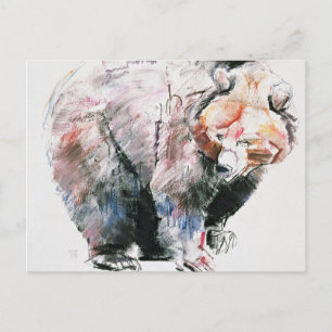 Cartão Postal Urso