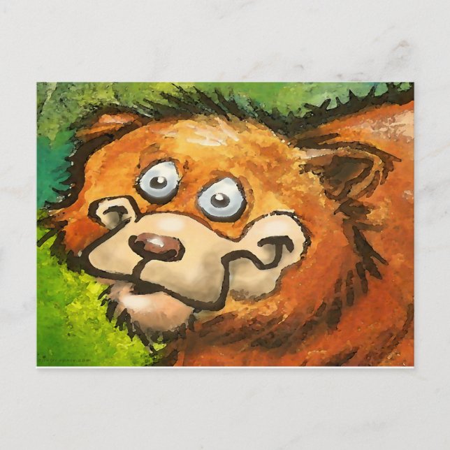 Cartão Postal Urso (Frente)