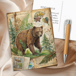 Cartão Postal Urso Botânico Vintage Antigo Floresta Natureza