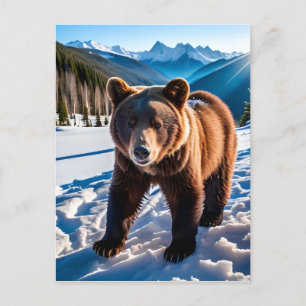 Cartão Postal Urso Brown na Neve