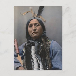 Cartão Postal Urso da Mão Esquerda