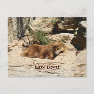 Cartão Postal Urso de Dayz Preguiçoso