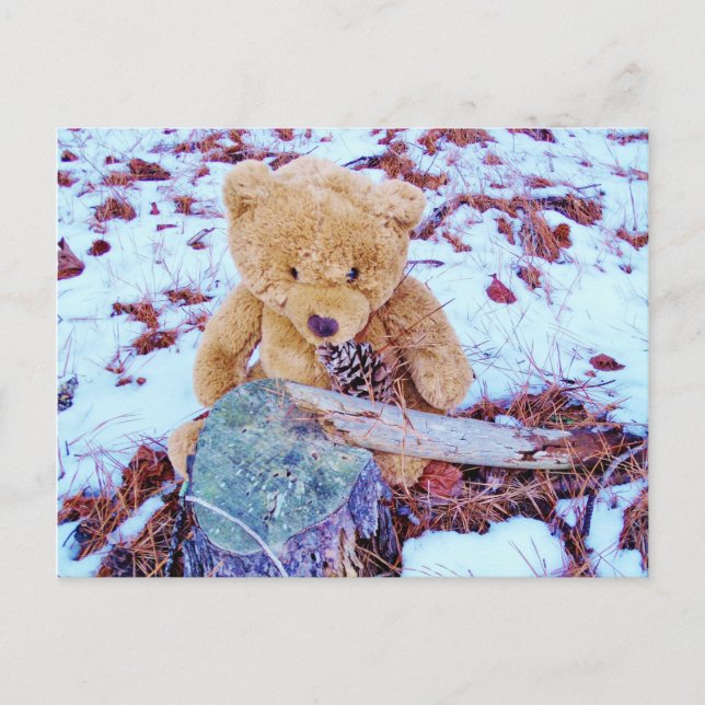 Cartão Postal Urso de Teddy na Neve, tom azul denim (Frente)