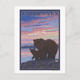 Cartão Postal Urso e Cub - Fairbanks, Alaska