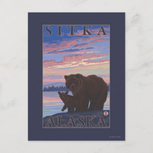 Cartão Postal Urso e Cub - Sitka, Alasca