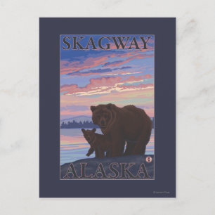 Cartão Postal Urso e Cubo - Skagway, Alasca
