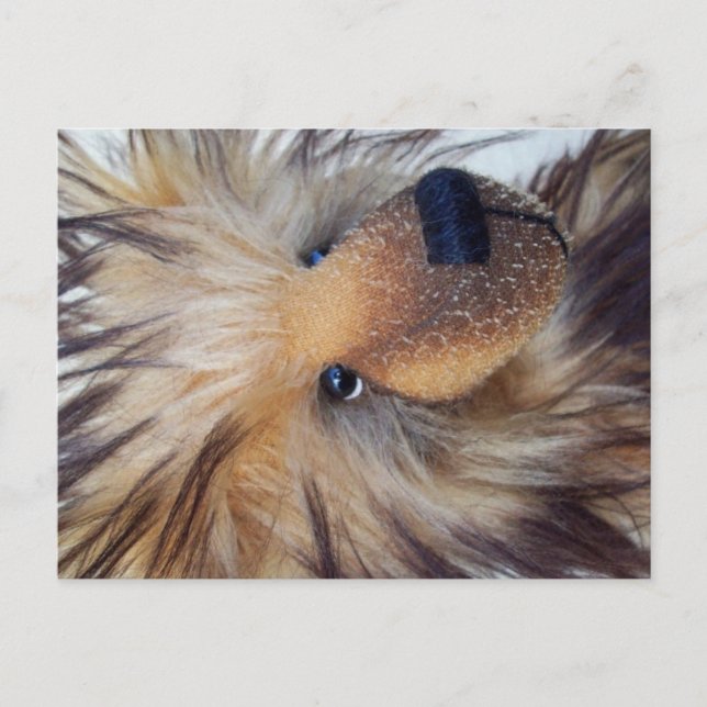 Cartão Postal Urso Fluffy (Frente)