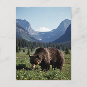 Cartão Postal Urso Grizzly na Viagem do Parque Nacional do Glaci