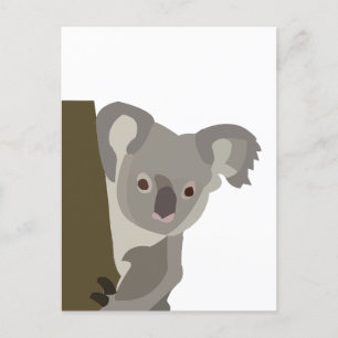 Cartão Postal Urso Koala Animal Australiano Fofo
