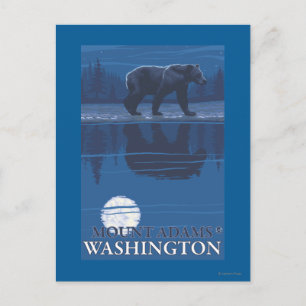 Cartão Postal Urso na Lua - Monte Adams, Washington