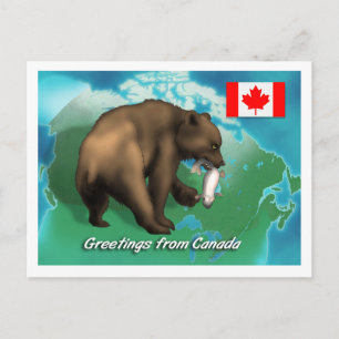 Cartão Postal Urso Negro Canadense