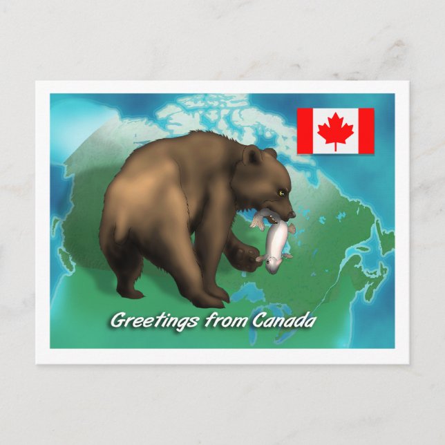 Cartão Postal Urso Negro Canadense (Frente)