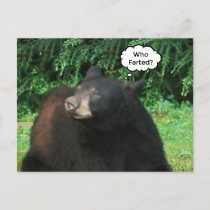 Cartão Postal Urso Negro - "Cubby Quem Fartou?"